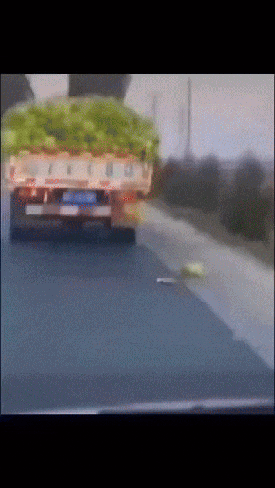 b407a5fe-2326-4942-a48e-5d794cd0c419