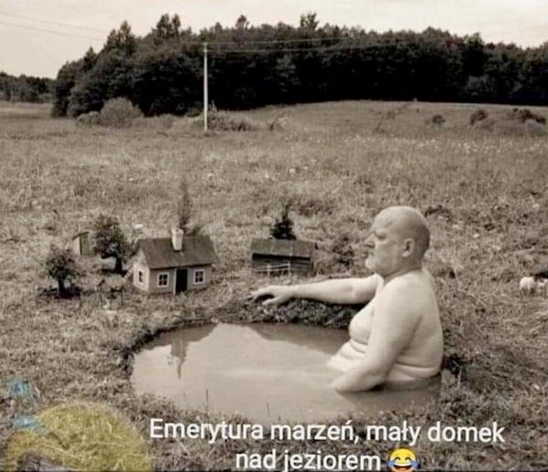 dd9e2b8d-502d-4f50-9c0e-cb577540182c