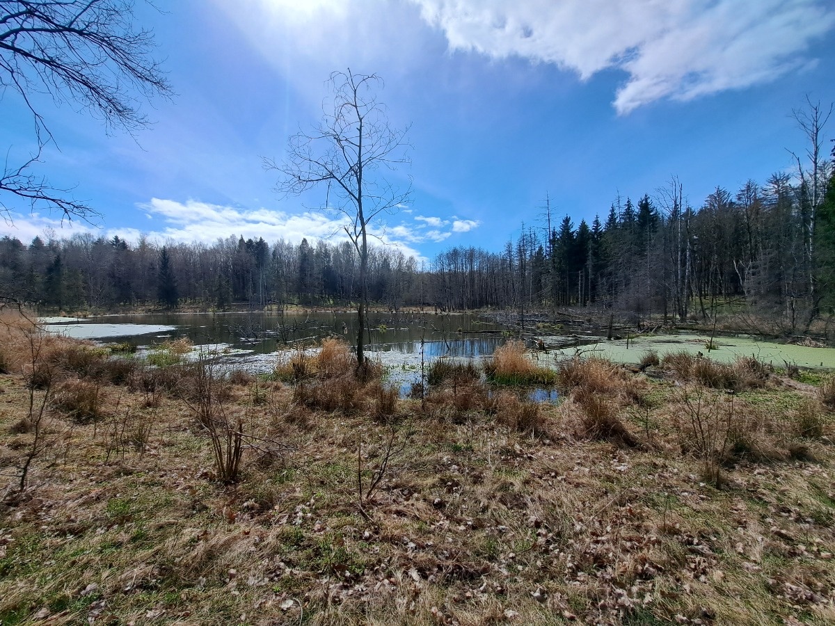 4edd15d9-7a9c-4b0f-ab50-472cff340d6d