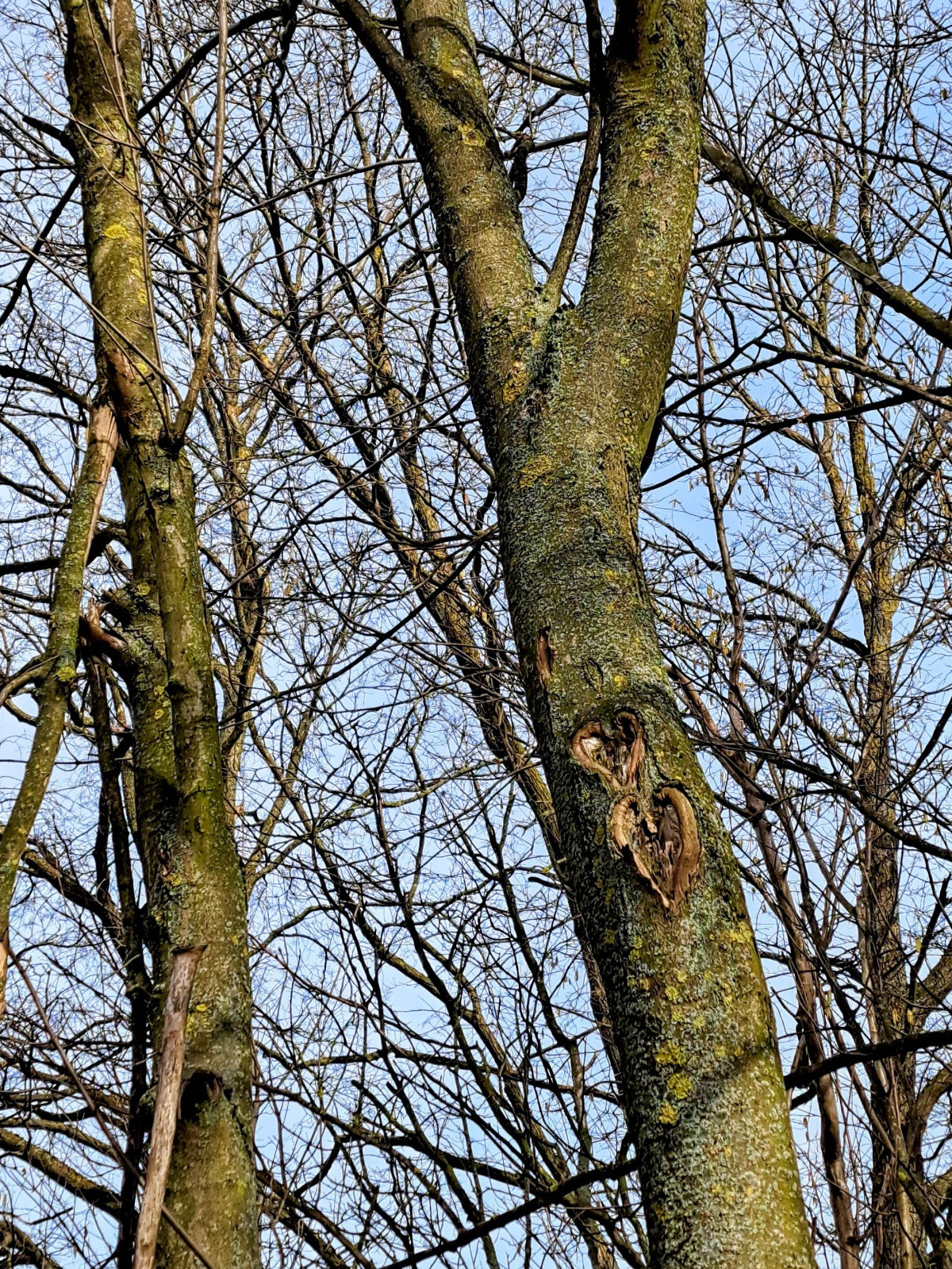 b1069bc5-fff9-432b-93a6-0fd9198aa0d5