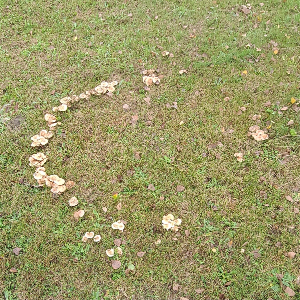 28093b61-505e-4ba3-871b-5f6068f5d164