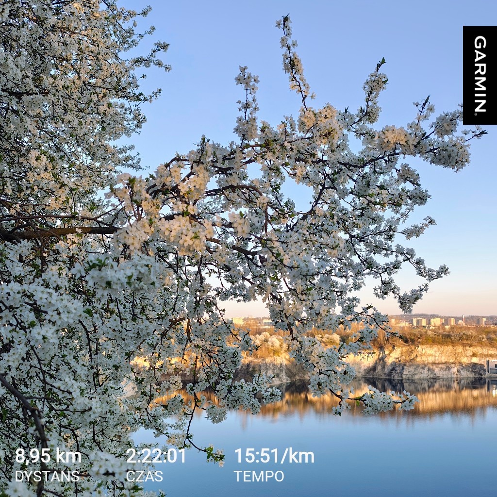 b77d0506-d395-4de7-89d2-490eb2de6717