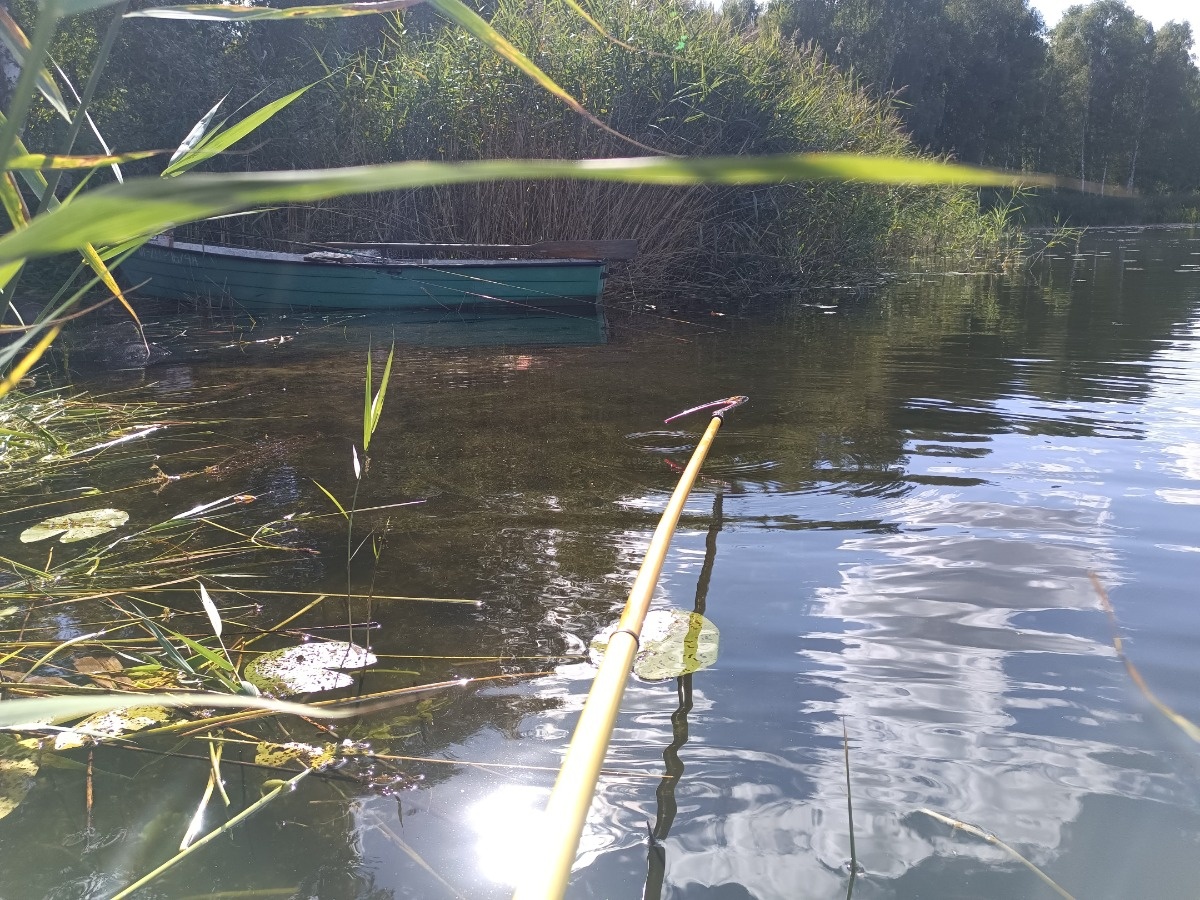 9821a4ce-c0b8-4d4e-90e8-53912558854c