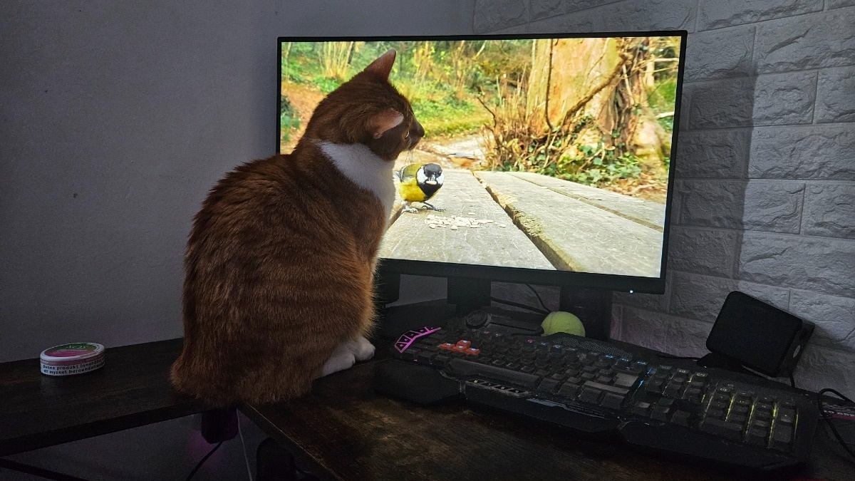 56660811-c27d-4916-9ec6-c37c05560503