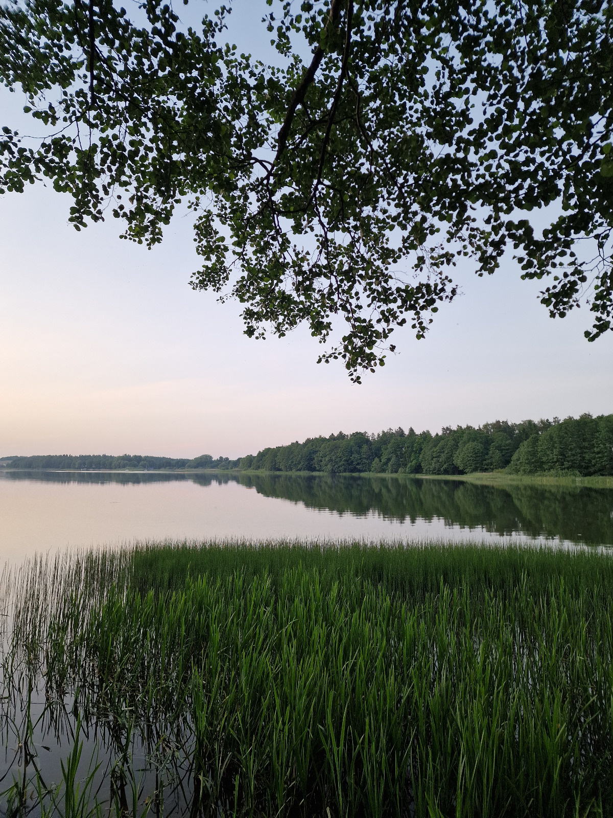 03c9ec0e-c790-43cd-9e61-17dca82fab8d