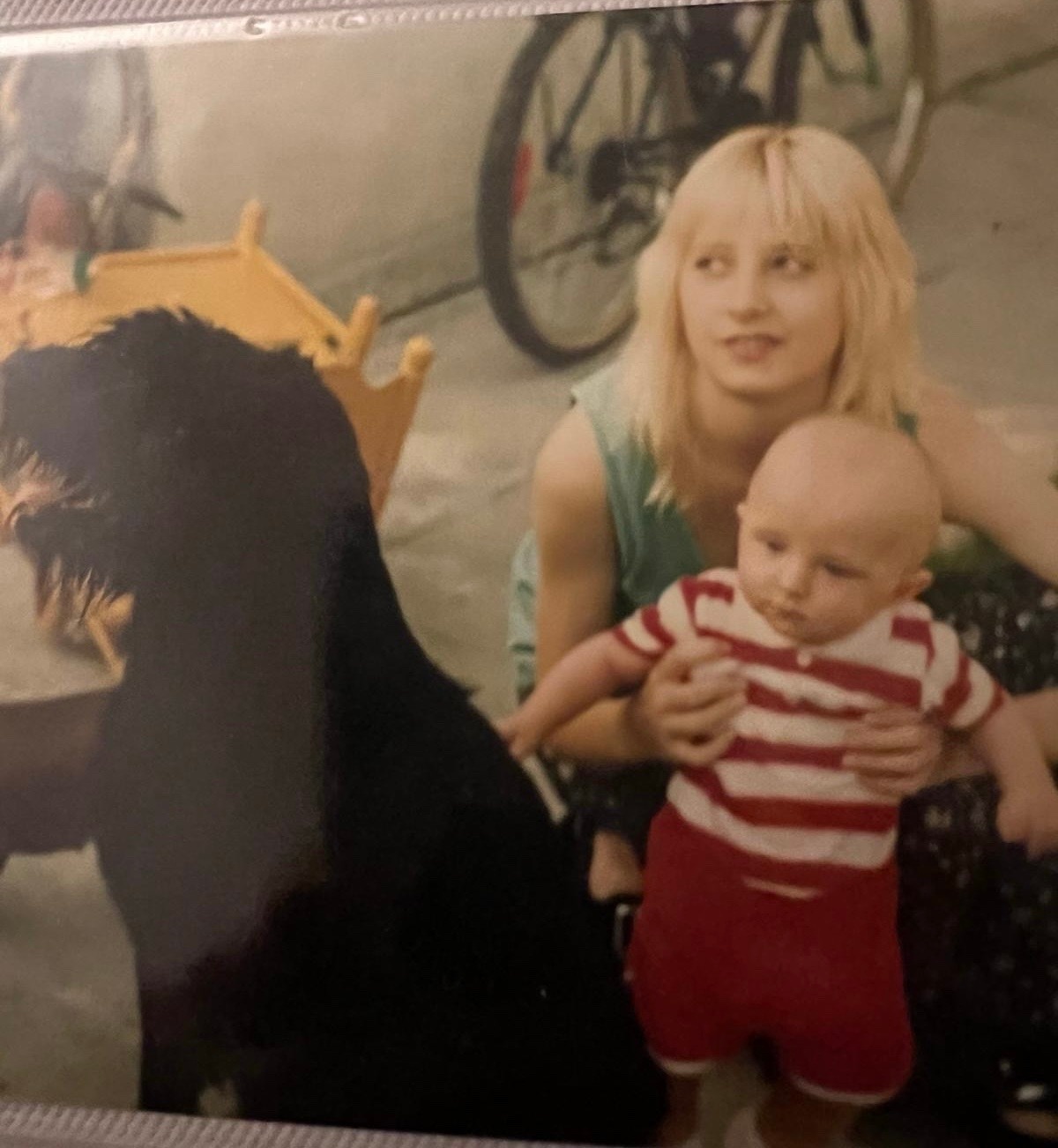 135dfc53-9eba-4841-b1c9-1a03f1e93108