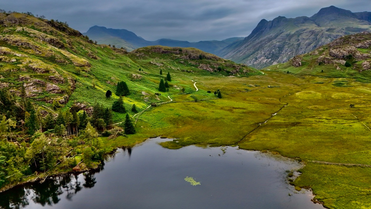 53a75034-a69d-48f0-9cfc-bbac85b5905f