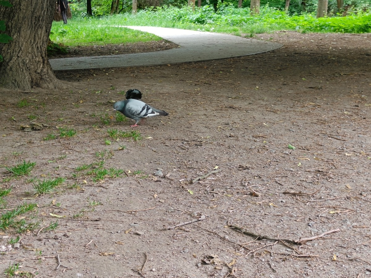 6ead1b5f-1c41-46a6-84aa-237380dbe604