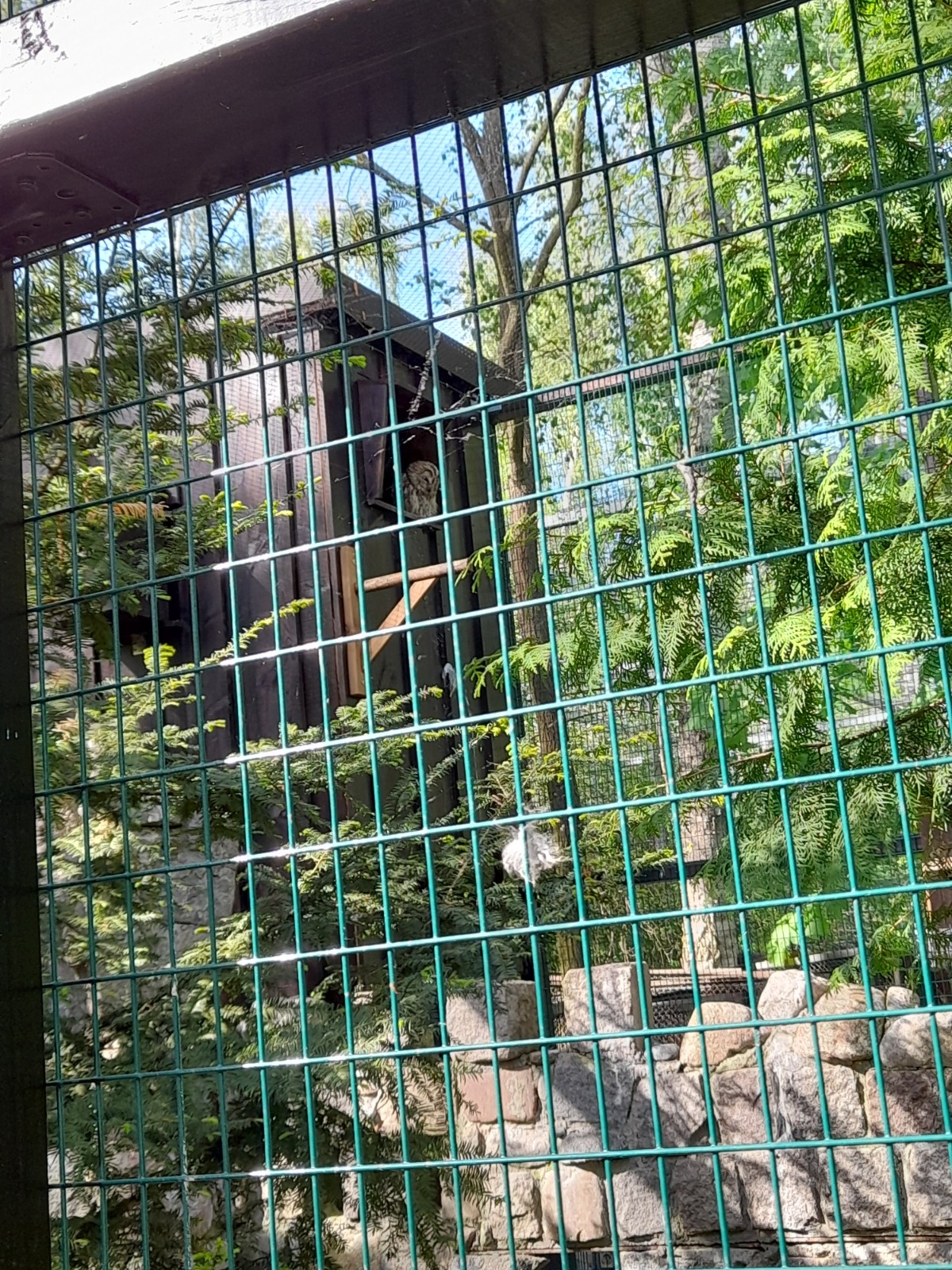 8bc6a424-f171-4bae-a6d8-03635b44f681