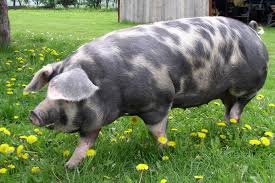 75c590de-c94d-42f6-bcc4-c3829d757bf0