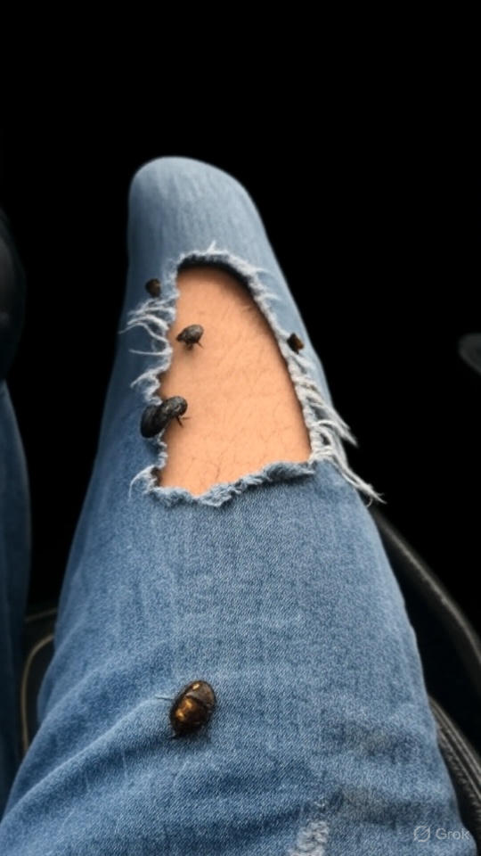 29e055ae-ba01-40ea-94e0-f40c539a3a6b