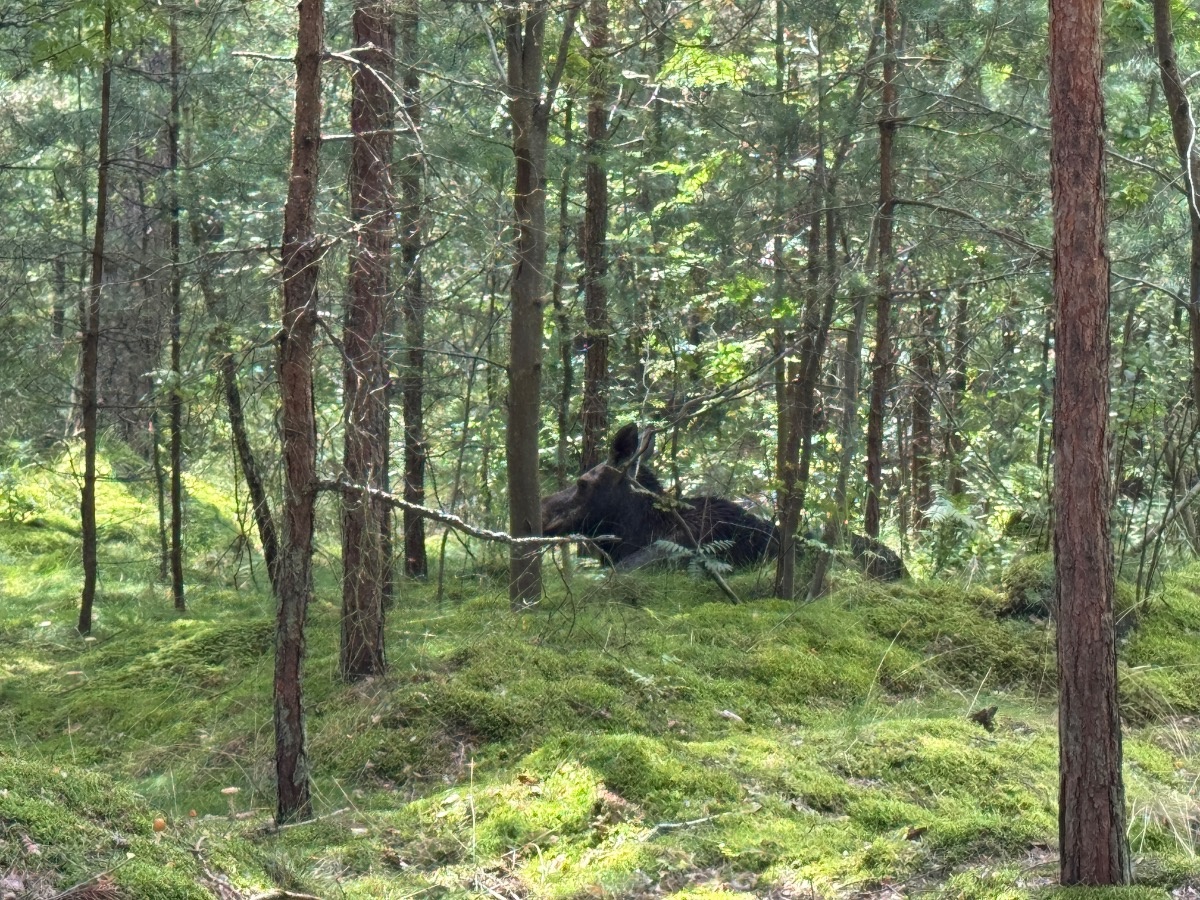 cf7e158c-378a-4f90-b28d-0b3cf1f448c5