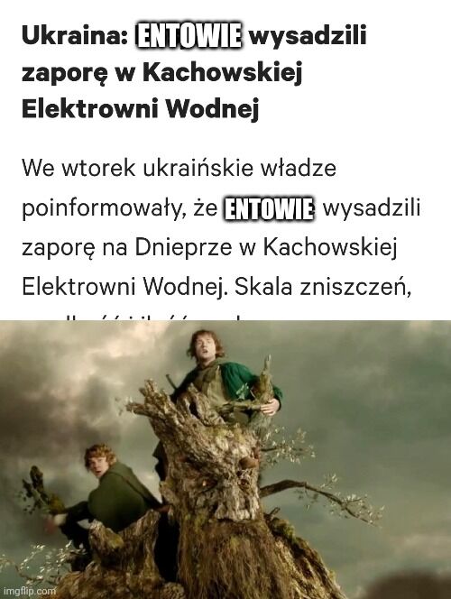 8352e8f8-3cdd-4b27-bbe6-2a89864eb295