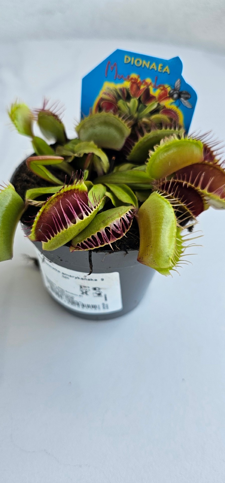 72fd4a70-bb77-4d04-ab1d-3b51a2a48863