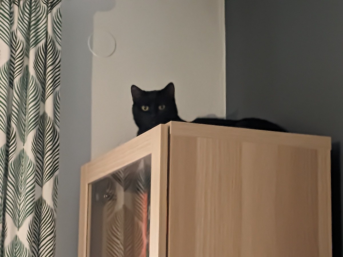 84b1545b-551c-466a-8b40-0221ae2e8e41