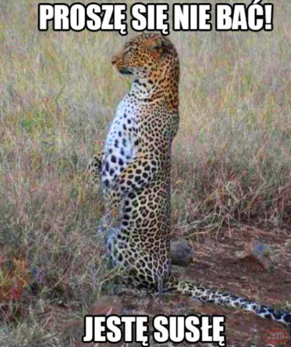 d263549a-804e-4e66-87a9-4fbb6d8fa238