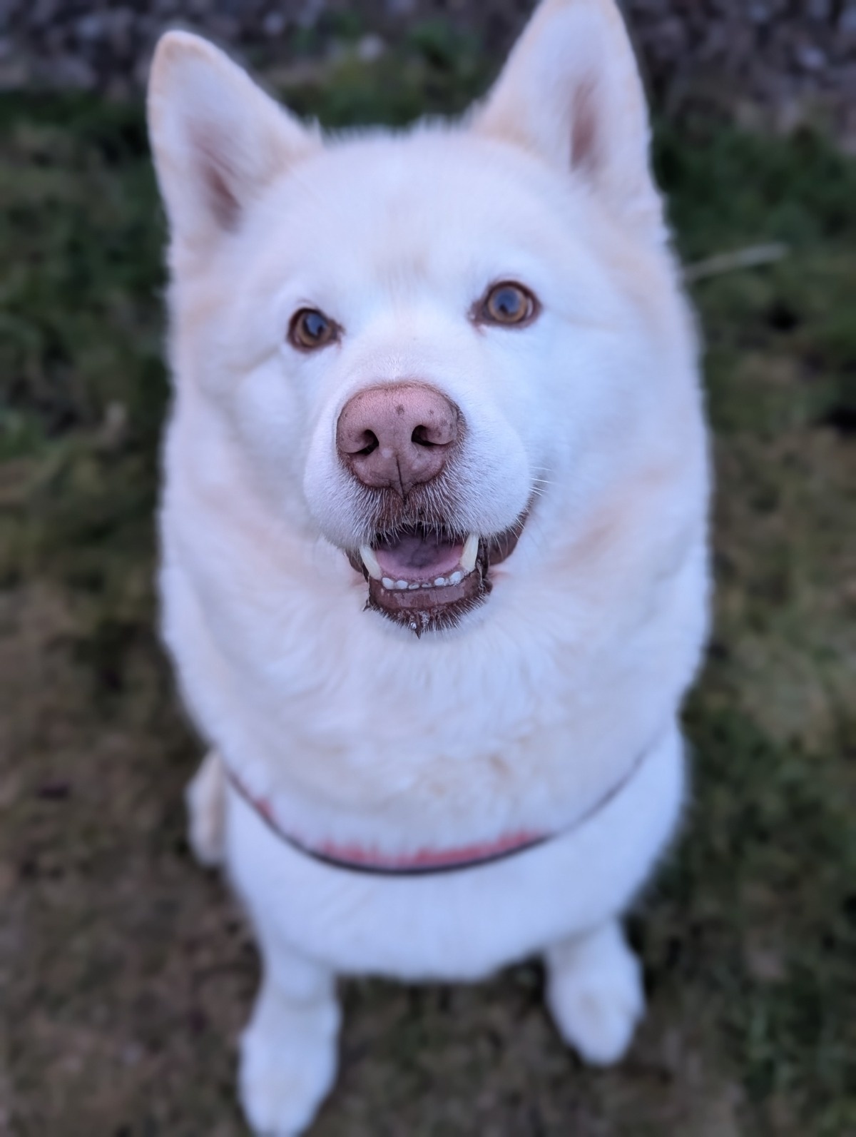 62cf8add-5b15-4728-9d10-f47f33664728