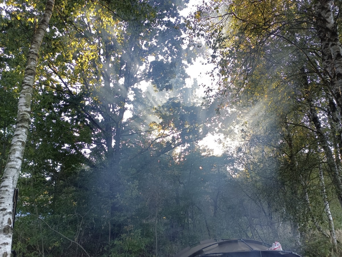 329a3a55-1ea1-41a6-aa29-053c2b812aae