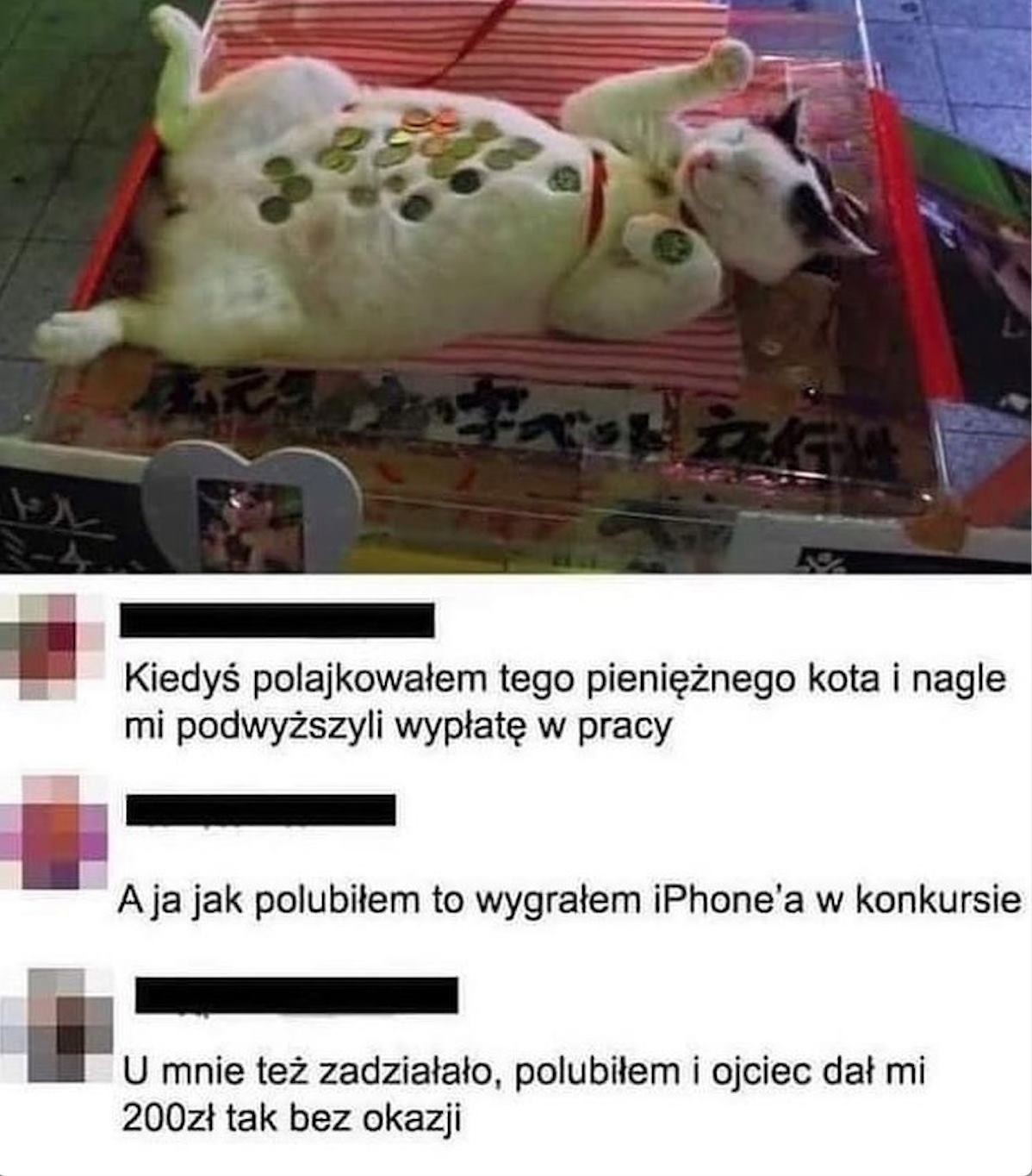 3065bc86-c01c-4574-961a-39713e325ca9