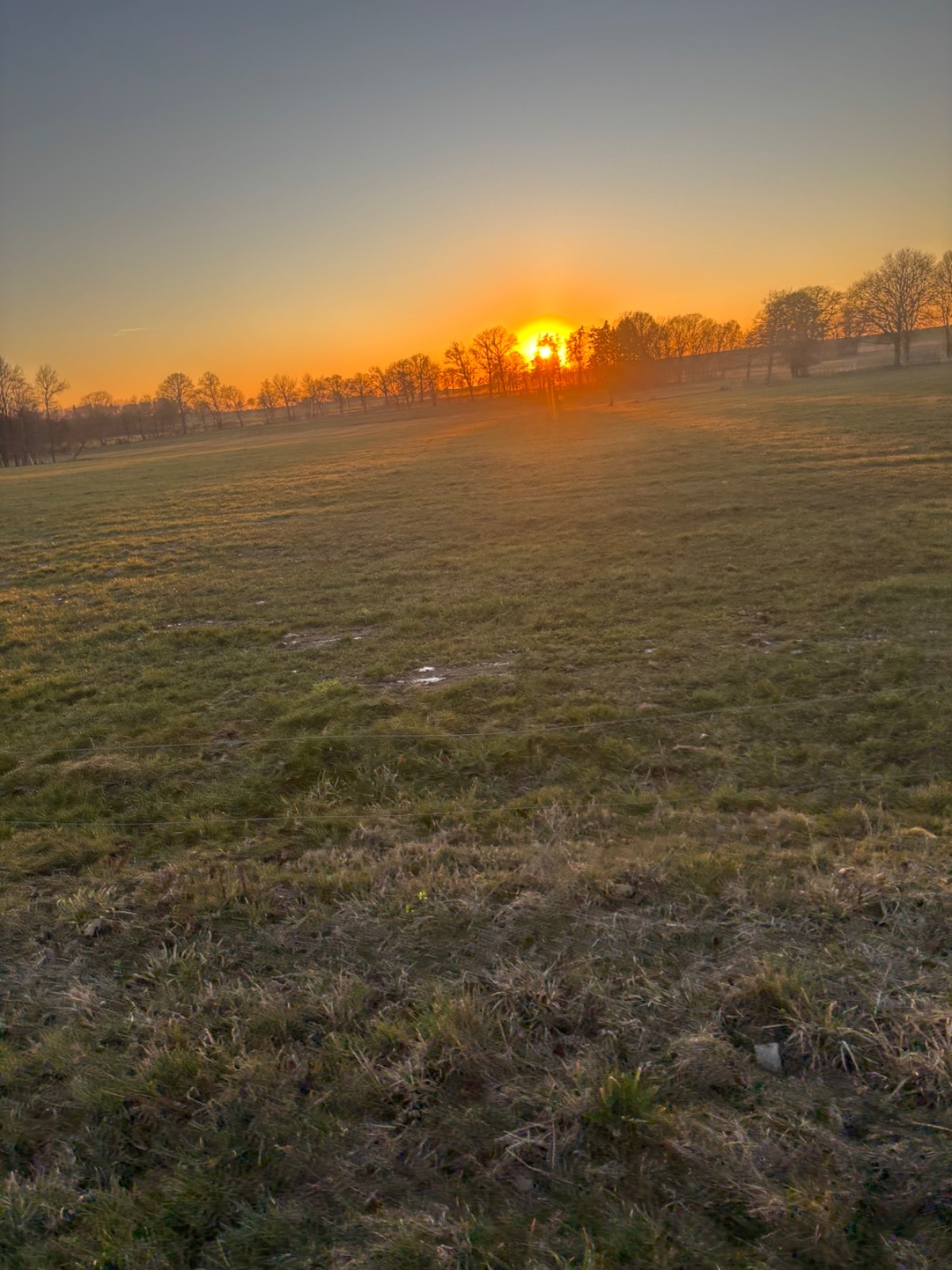 fa5ed110-5151-4700-8248-61b0c153b712