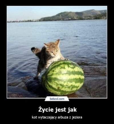 d20633e4-7786-4eeb-8daf-3b6e9cd571b7