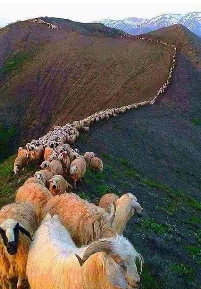 1688ca69-8249-4695-b94e-1de4b003fa4f