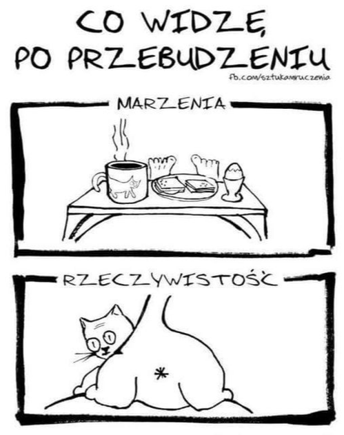 b4b54083-48e5-4cf9-9e69-c081efd8eff8