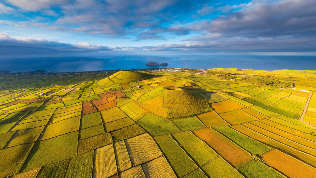 473eb297-73df-4ff9-ae23-7351e2b78a97