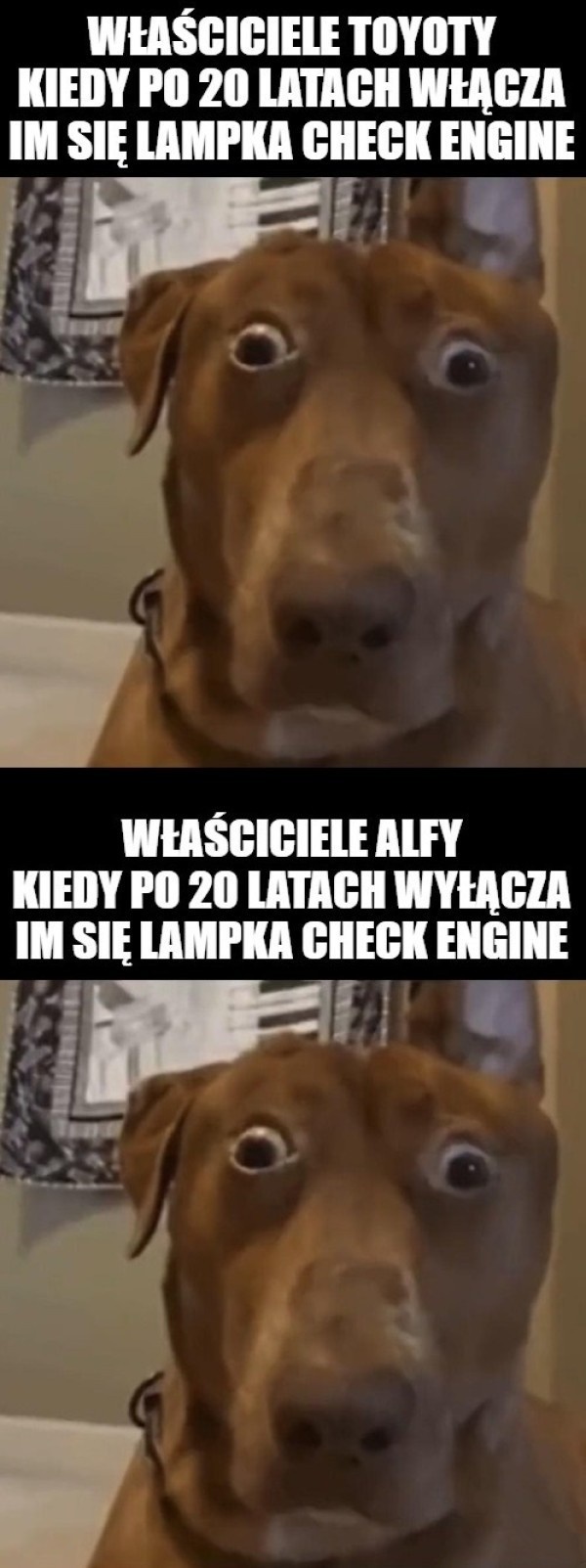 5bd73a1b-83a5-4b92-a5d7-132ef9e27754