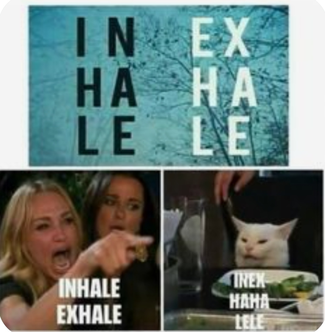 606c4431-1427-4da9-b6a2-1f778026aba0