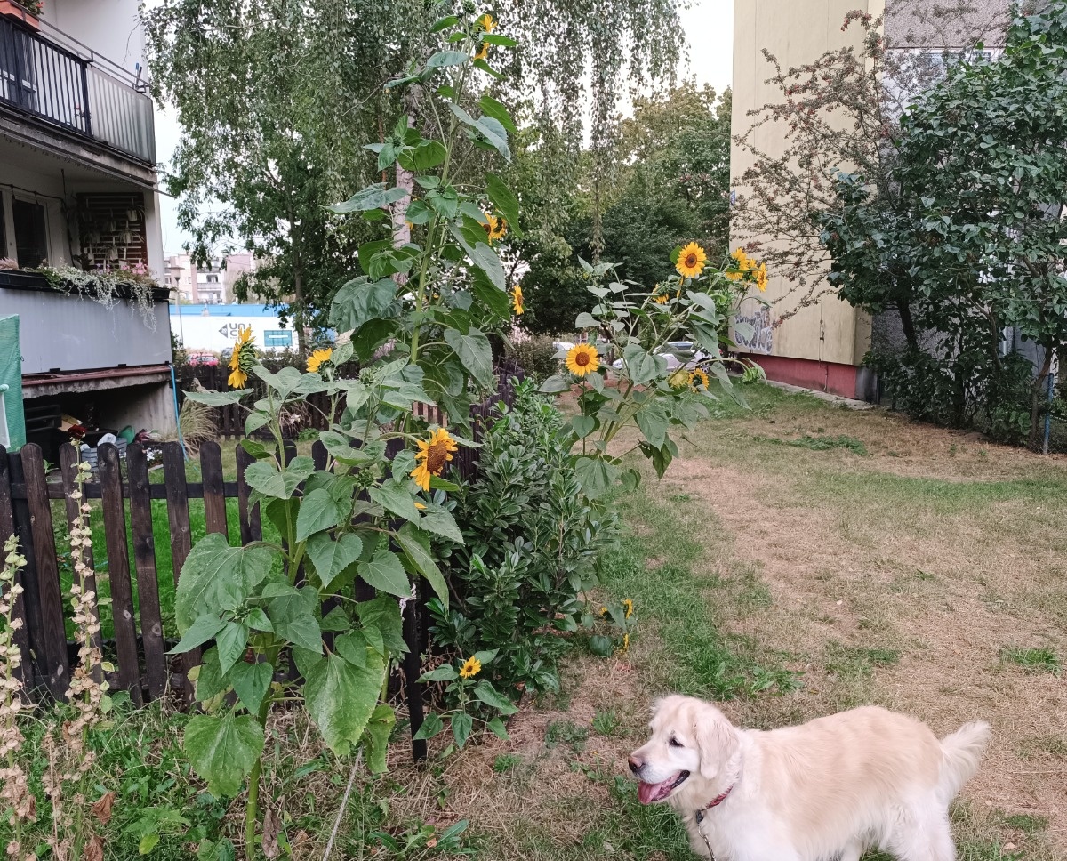 844dd06c-30b5-4b66-9333-75afb8e86830