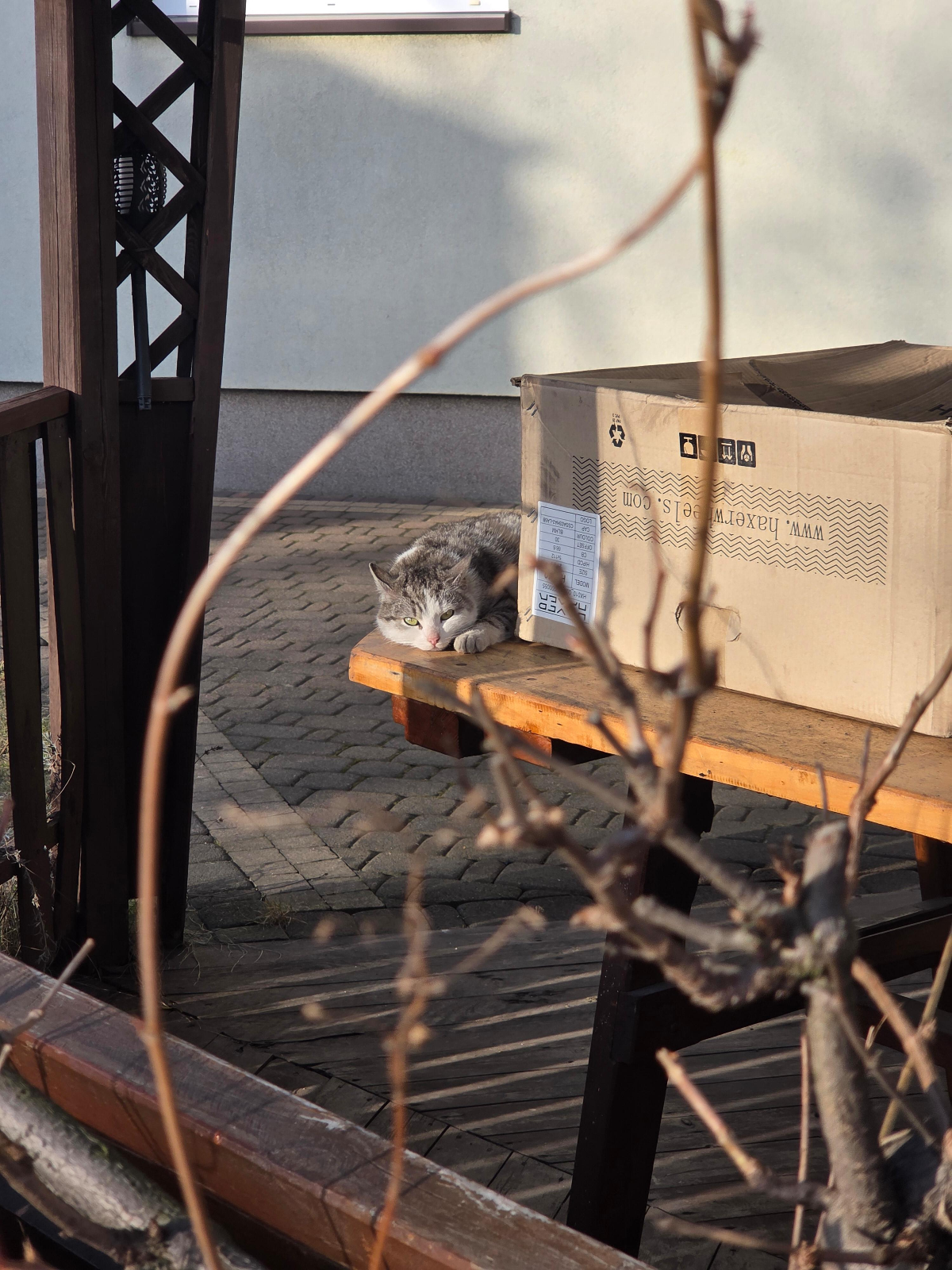 4ce9a44c-193d-4e1f-8de3-3adf739ed0d4