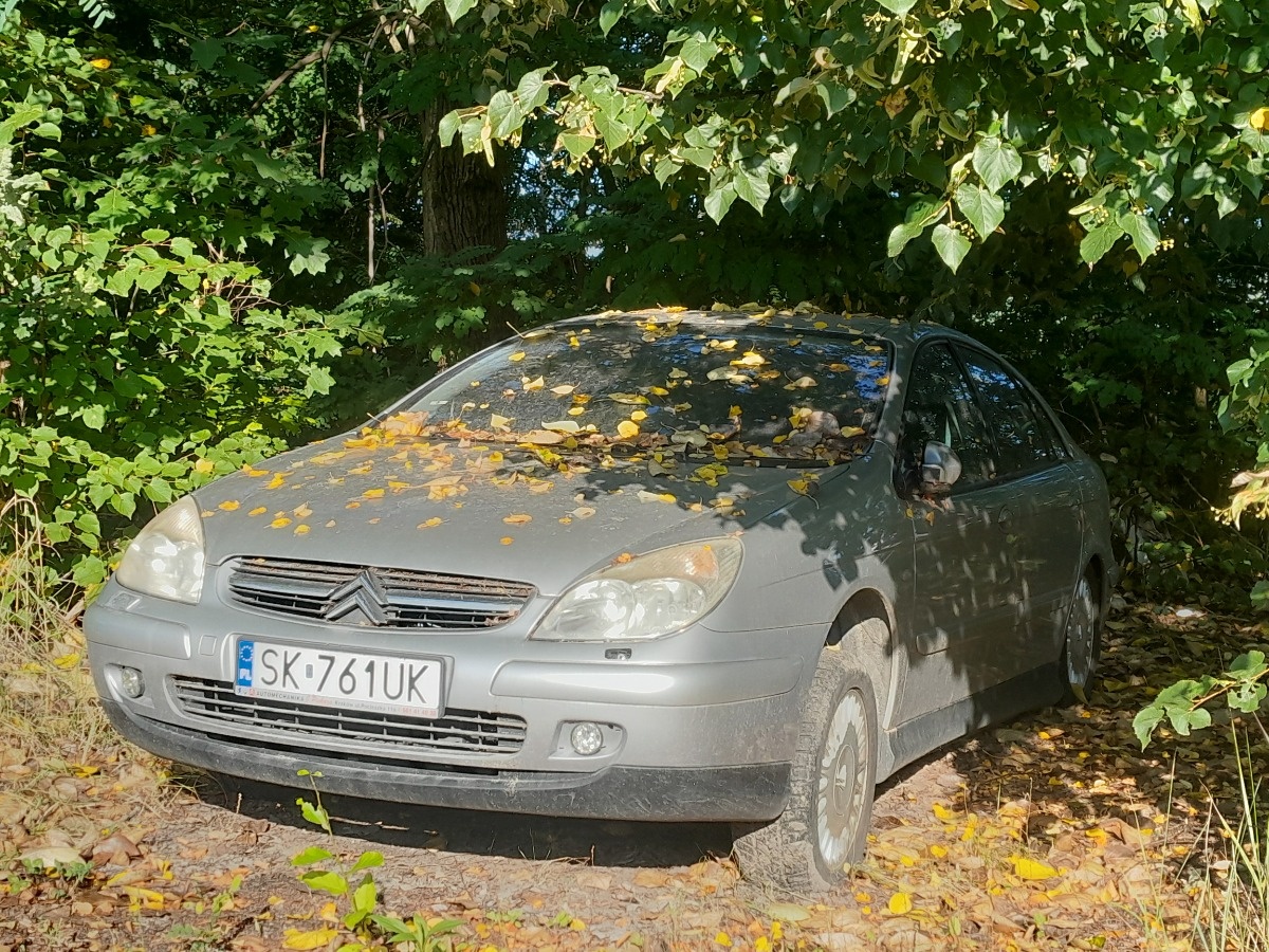 009f962e-119f-4dbb-b391-b0c0d1040844