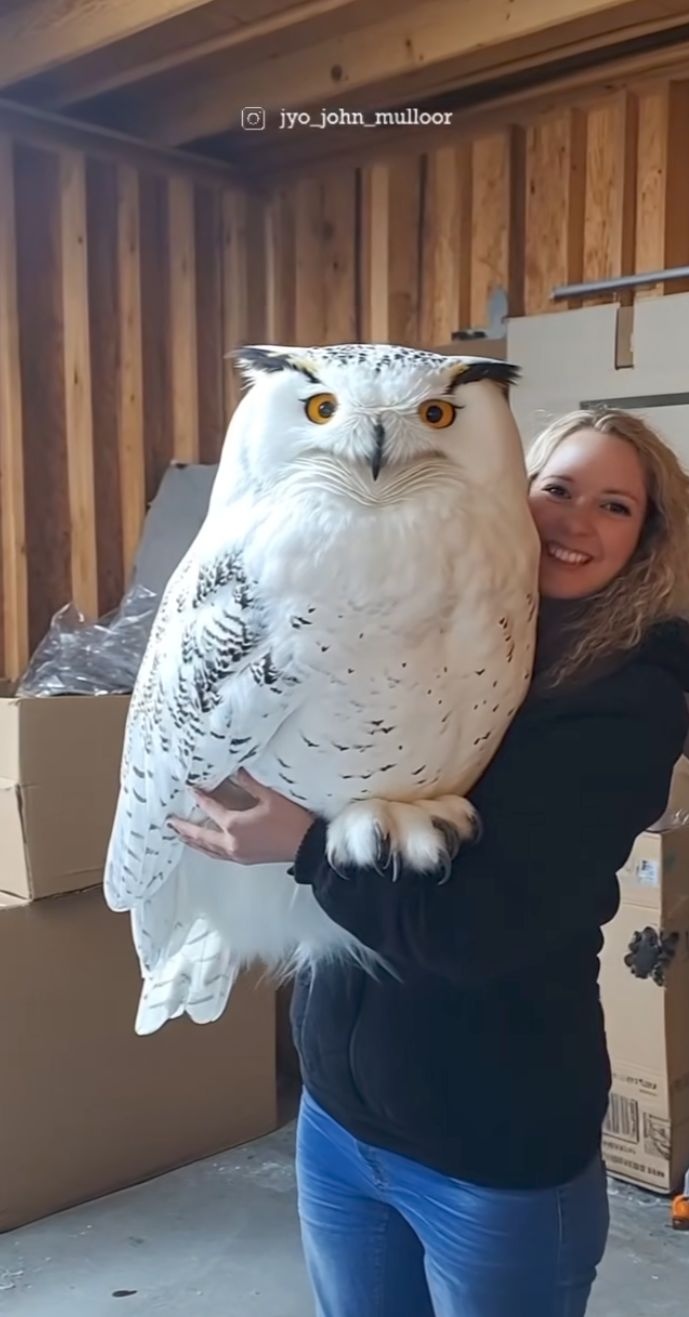 89b903a1-33f1-4eb5-8509-72c3b47f554e