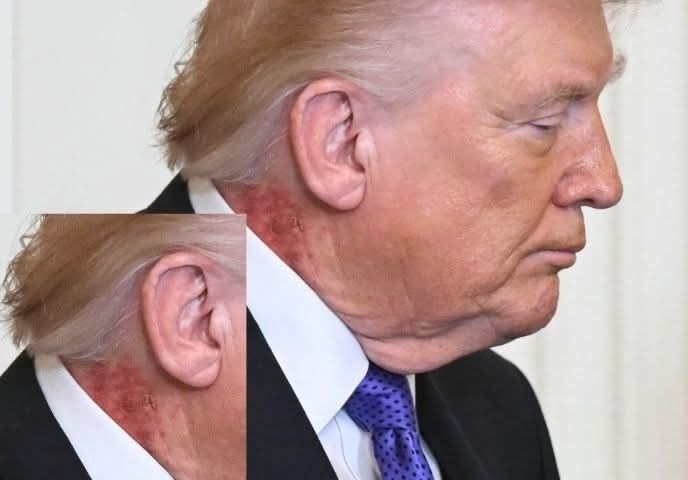 f1c96cc4-5fb1-4f0e-9eef-fbea86b35118