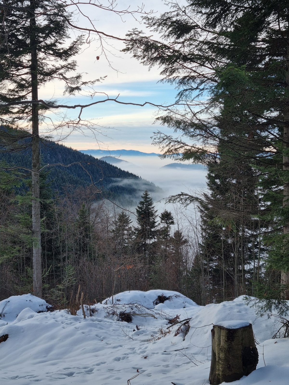 c34499c7-89d5-4d6d-95fd-beddb424b318