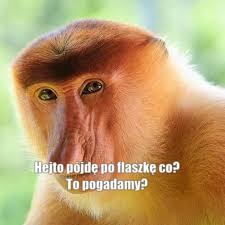 4aa9fc7d-d36a-49e5-8111-8892cd08618c