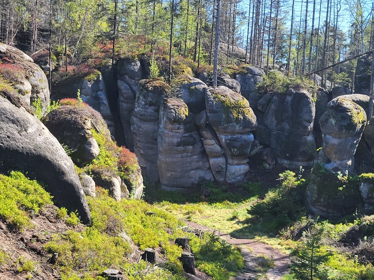 e226543f-da71-4333-abae-08a2f5995abb