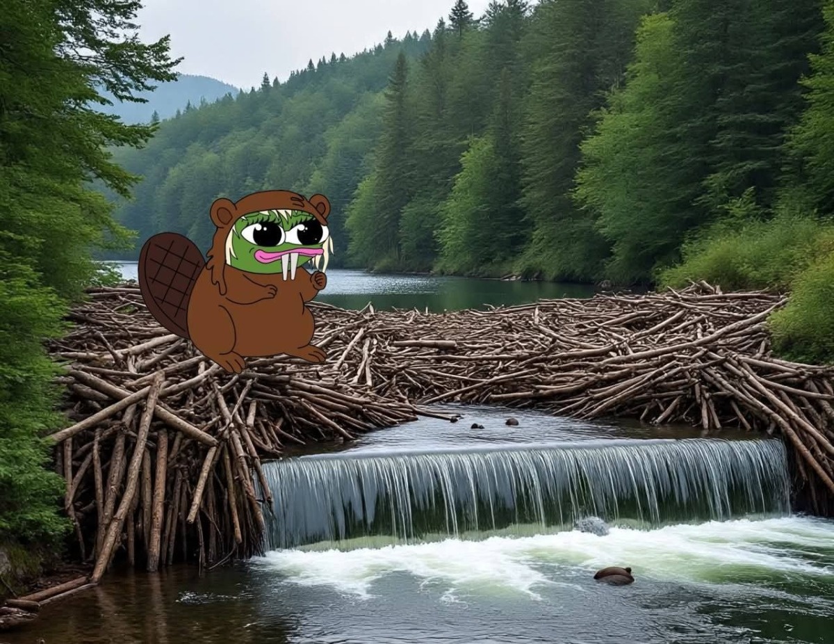 96a5d173-df24-44e2-83b0-2378c95b6d6f