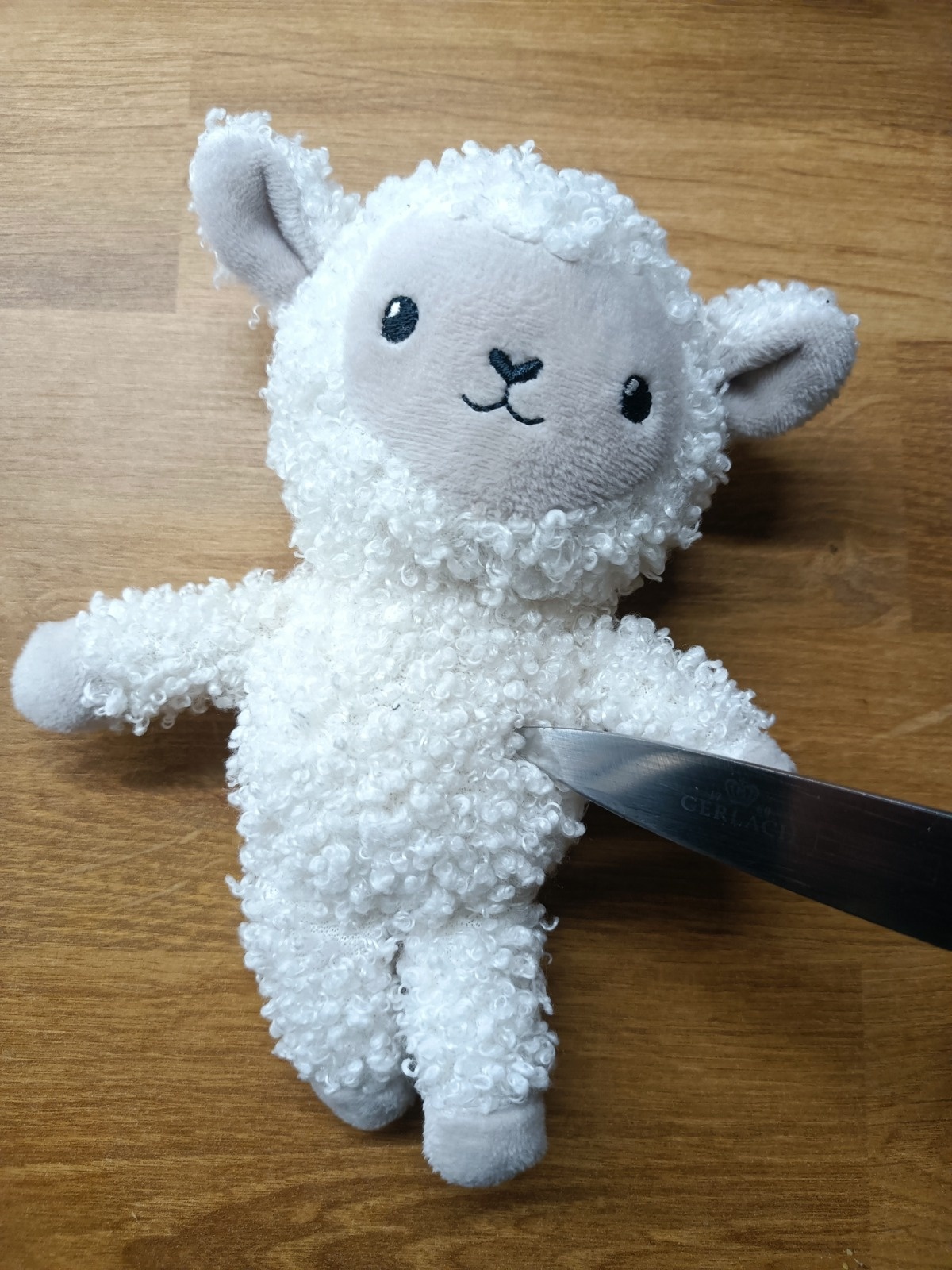 69e717da-a334-4363-888c-f7dc8b5b34af