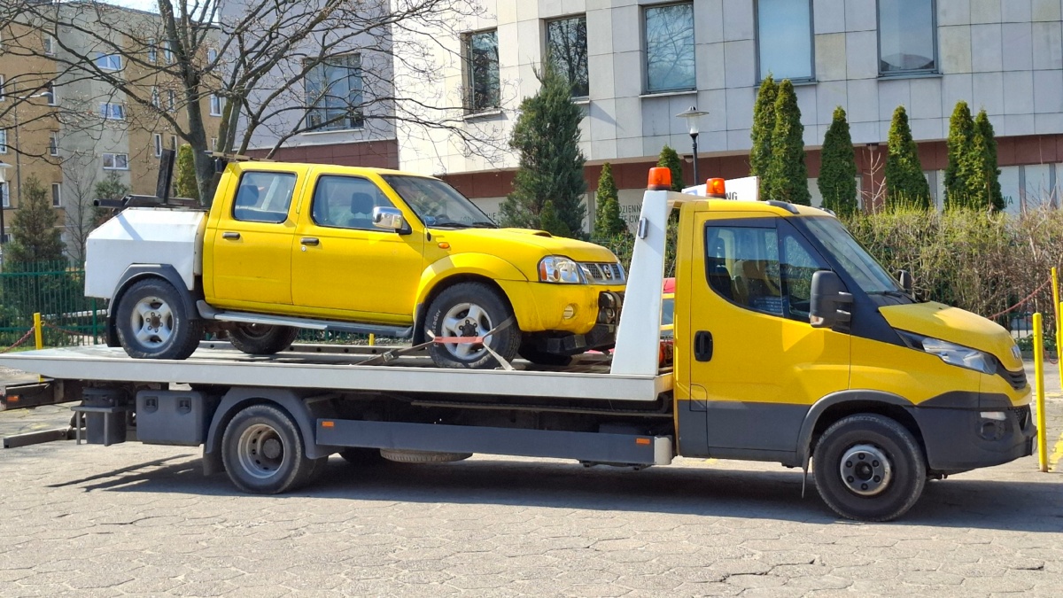 81e4bec3-26c0-4b03-93c5-673e61b7ff20