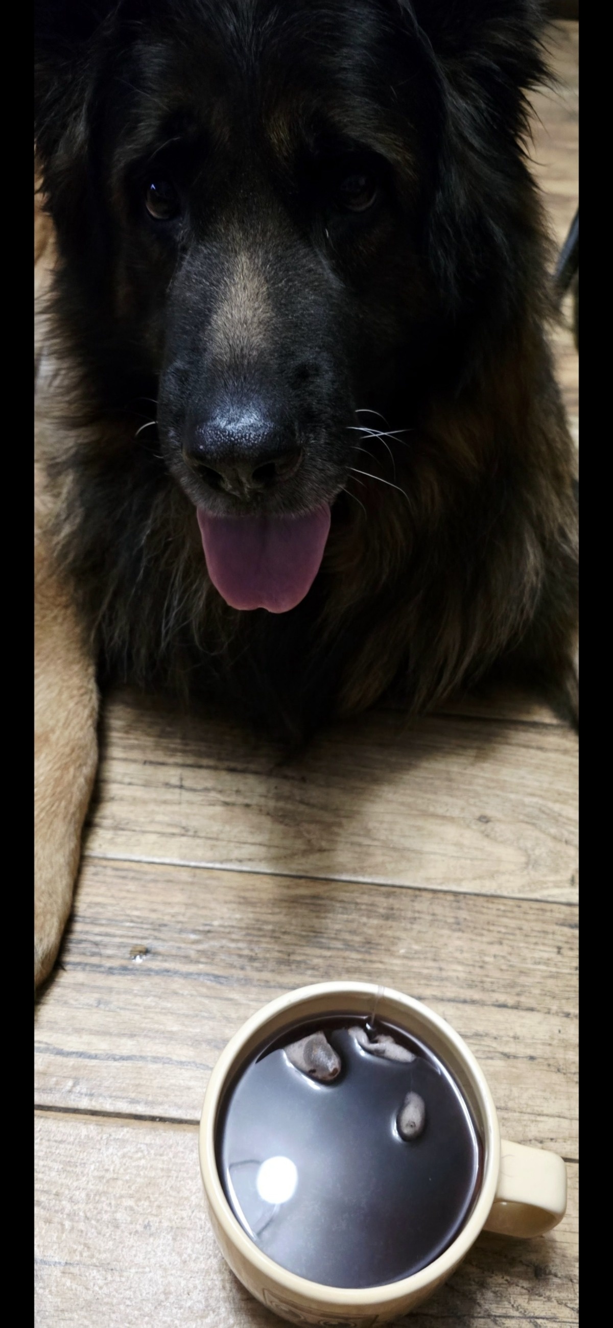 cce36434-d243-4e1e-bae2-fa3ccee463af