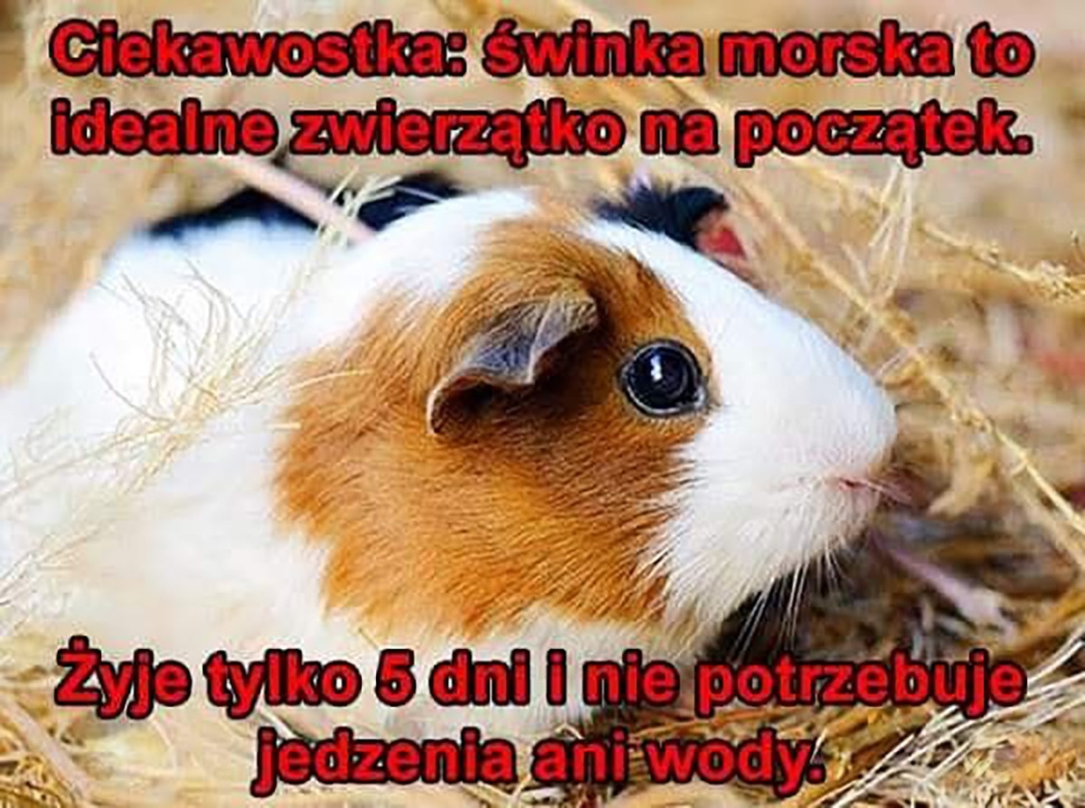 033ee8e5-75a7-4a62-a669-a1efb607b33b