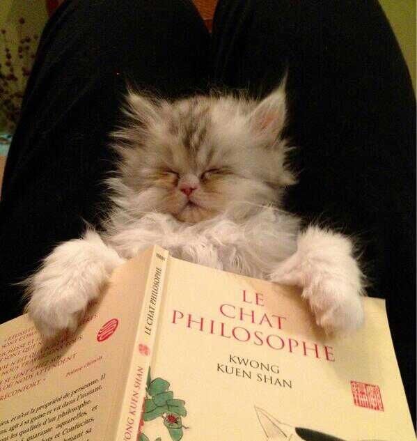 00cae68a-3a1d-4361-b1e4-80aef11712db