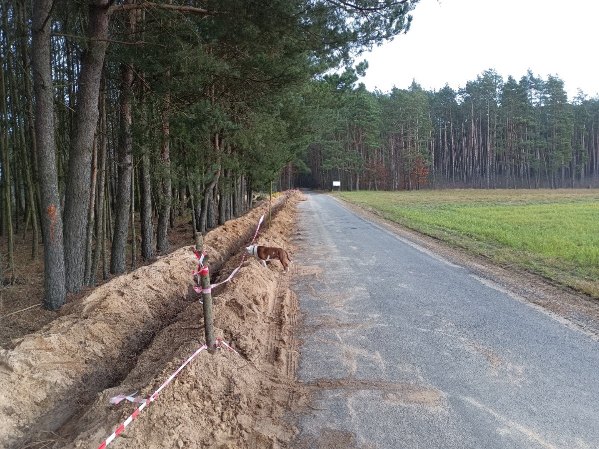 6a723ba4-27a6-4637-9bdc-39816fa9f665