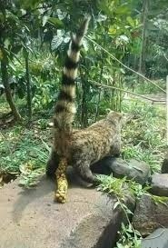 5ca640c1-7e68-4a89-8c63-fb4ff83df8cb