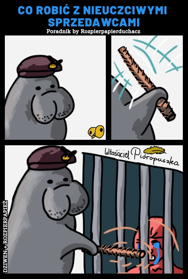 41d0706b-828e-4c3e-983c-162e0f1e0f77