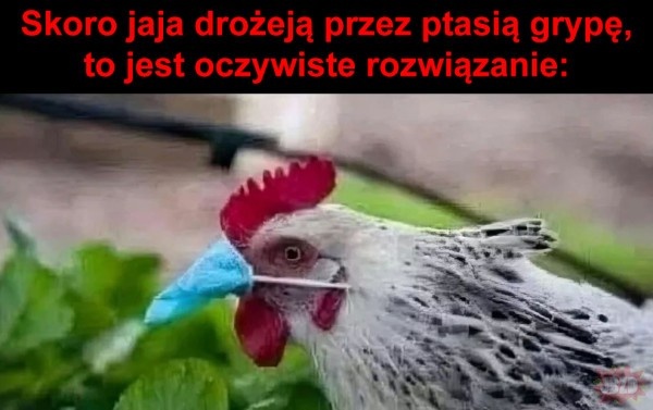 5a175208-890d-4107-89f1-b6e618b544da