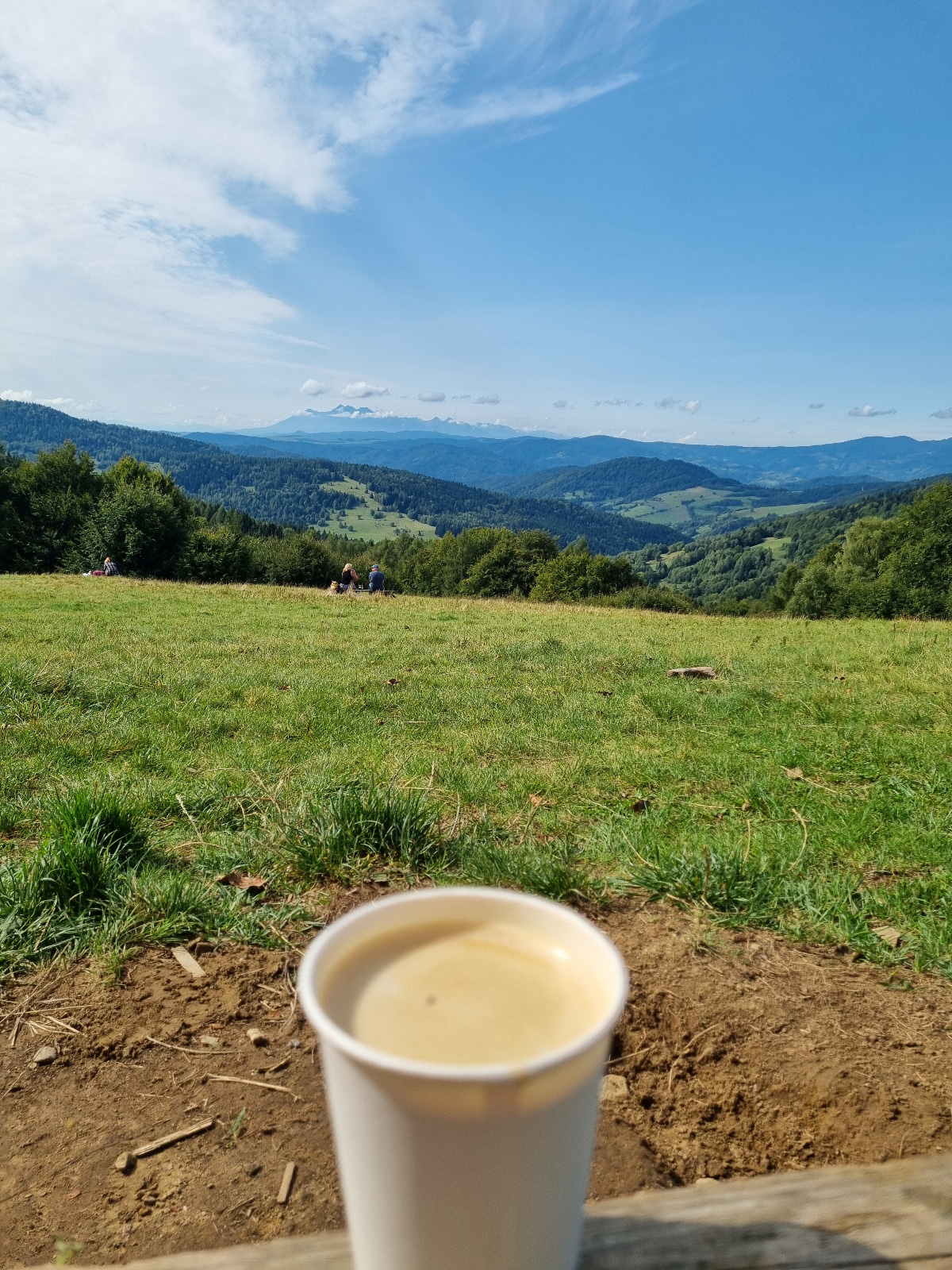 288ae947-b37e-44b5-8342-33569956f8b9