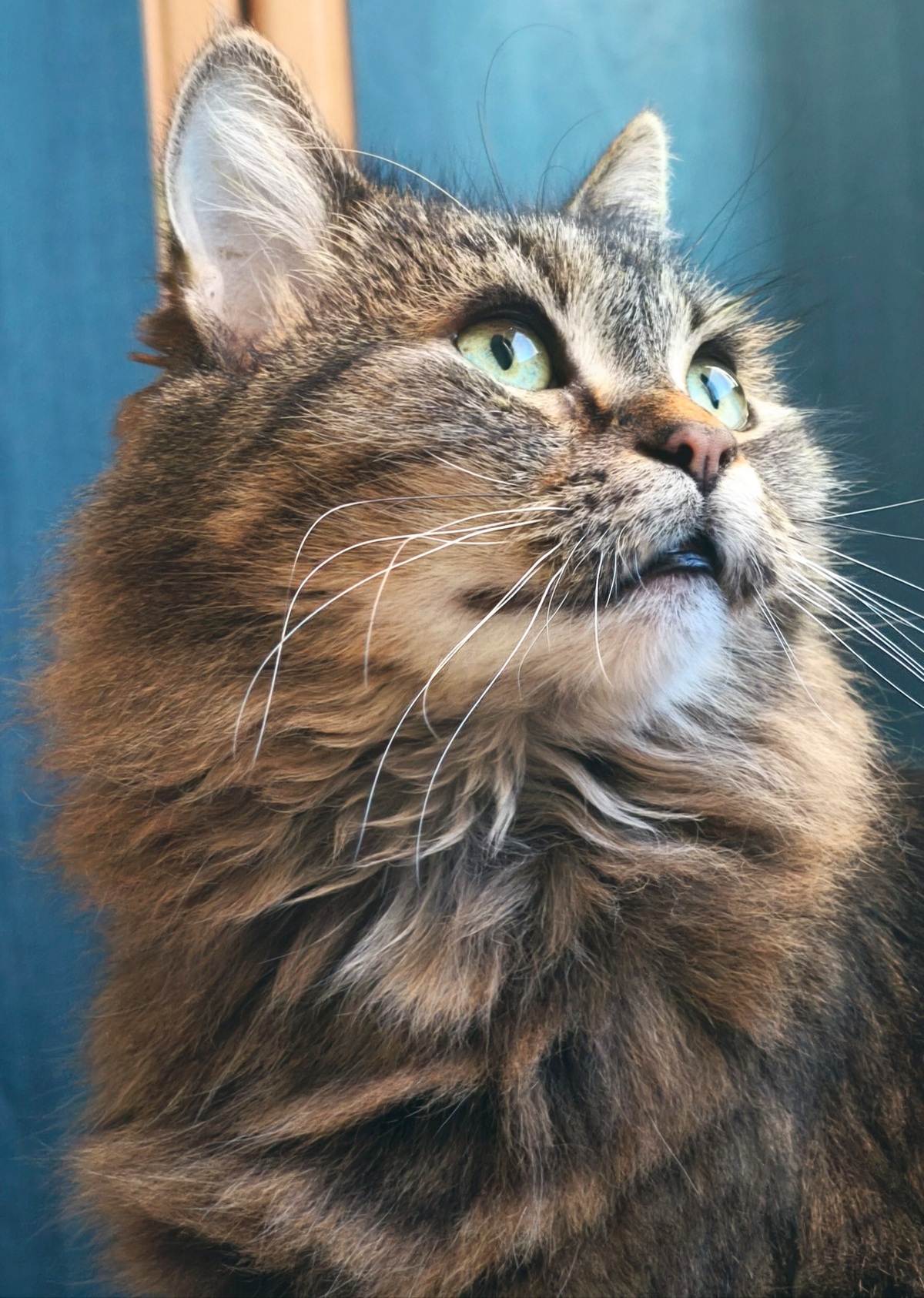 fc57805d-32f3-42e0-8d68-ddfca689a6b6